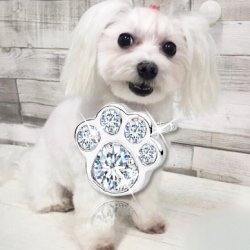 Kolczyki srebrne łapki srebro próba 925 rodowane