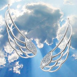 Kolczyki srebrne 925 z cyrkonią nausznice skrzydła