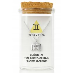 Srebrny naszyjnik w butelce znak zodiaku bliźnięta srebro próba 925