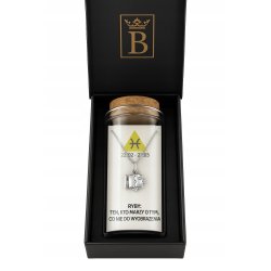 Srebrny naszyjnik damski w butelce znak zodiaku ryby srebro próba 925