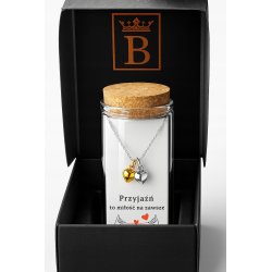 Srebrny naszyjnik damski w butelce serca przyjaźń miłość srebro próba 925