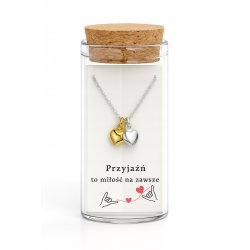 Srebrny naszyjnik damski w butelce serca przyjaźń miłość srebro próba 925