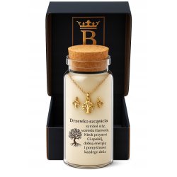 Komplet biżuterii naszyjnik kolczyki drzewko szczęścia srebro 925 w butelce