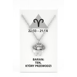 Srebrny naszyjnik damski w butelce znak zodiaku baran srebro próba 925