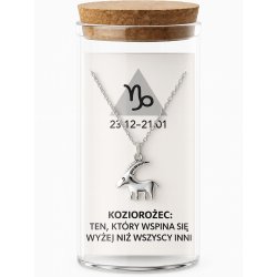 Srebrny naszyjnik damski w butelce znak zodiaku koziorożec srebro próba 925