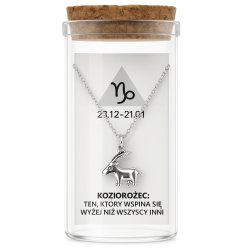 Srebrny naszyjnik damski w butelce znak zodiaku koziorożec srebro próba 925