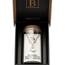 Srebrny naszyjnik damski w butelce znak zodiaku koziorożec srebro próba 925