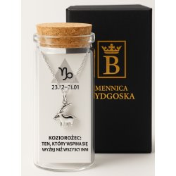 Srebrny naszyjnik damski w butelce znak zodiaku koziorożec srebro próba 925