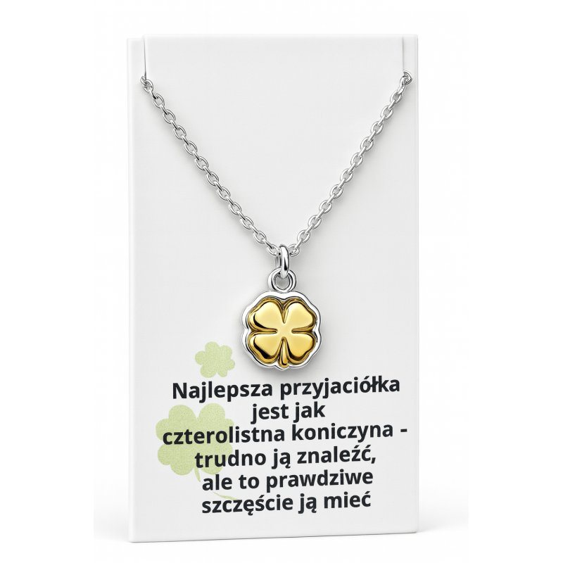 Srebrny damski naszyjnik w butelce koniczynka BFF srebro próba 925